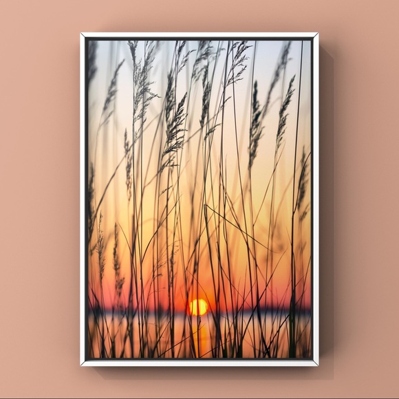Triad Art & Design Other - Sunset in field leaves and bunches landscapes art